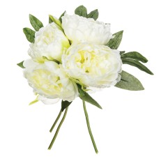 Buchet bujori Buchet bujori