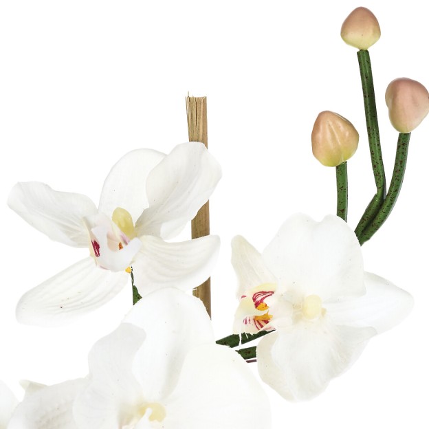 Floare decorativa