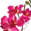 Floare decorativa