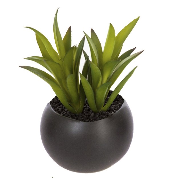Planta decorativa H5