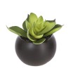 Planta decorativa H5