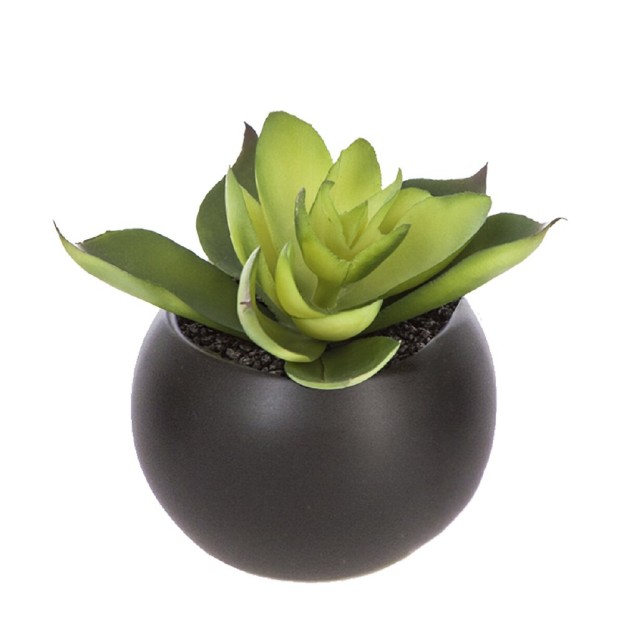 Planta decorativa H5