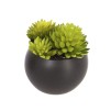 Planta decorativa H5