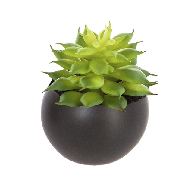 Planta decorativa H5