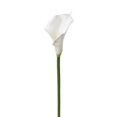 Cala artificiala ARUM H75 Cala artificiala ARUM H75