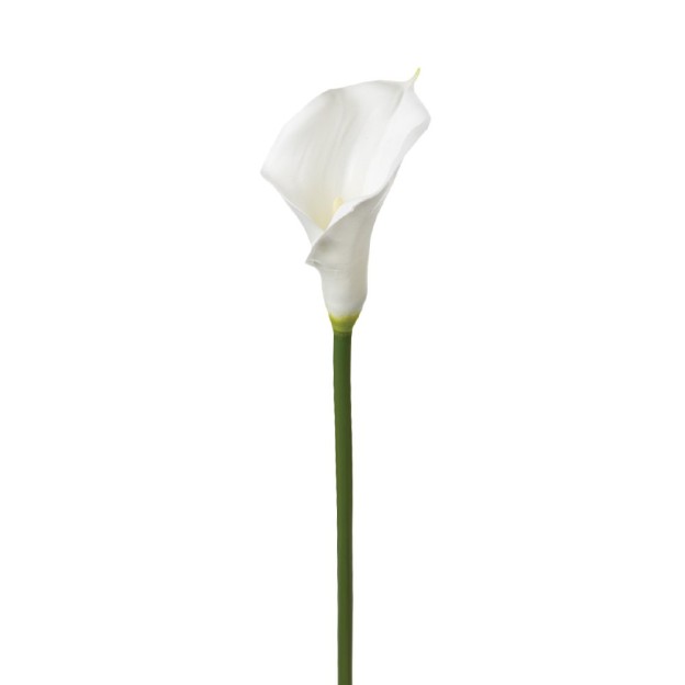 Cala artificiala ARUM H75