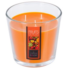 Luminare parfumata EXO 500G