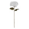 Compozitie florala HORTENSIA SERATA H83