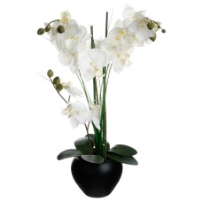Compoziti florala ALINI H53