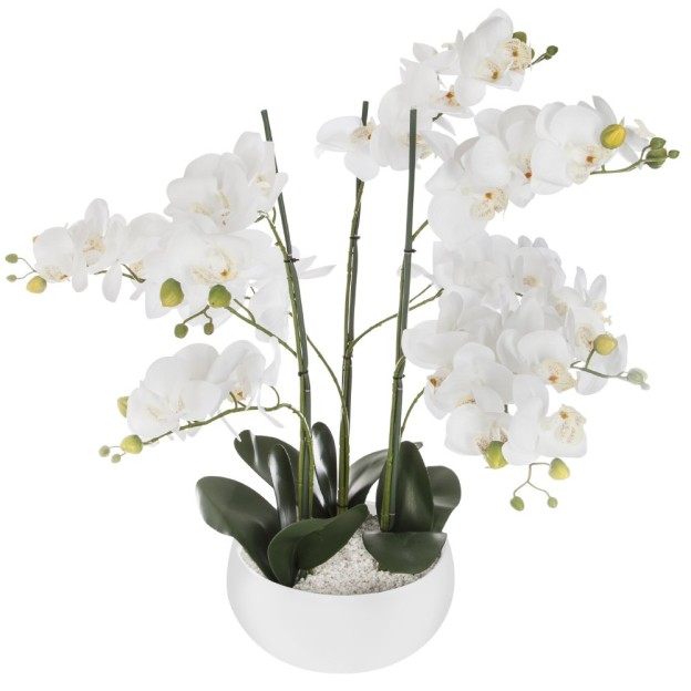 Orhidee  WHITE H65