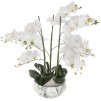 Orhidee MARBLE H65