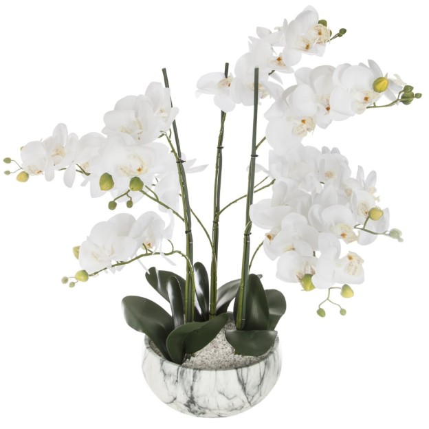 Orhidee MARBLE H65