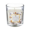 Luminare aromatizata VAN 110G