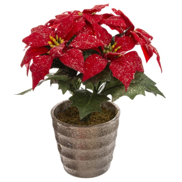 Floare decorativa POINSETTIA in ghiveci