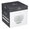 Difuzor de ulei esential REYNA 250 ML