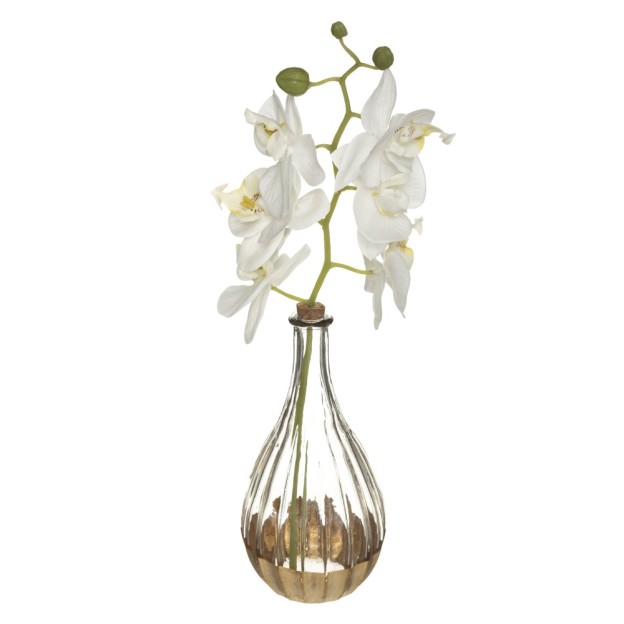 Orhidee Glass H40