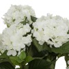 Floare decorativa