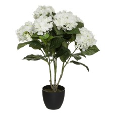 Floare decorativa