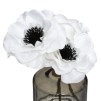Compozitie florala in vazon ANEMONE H20