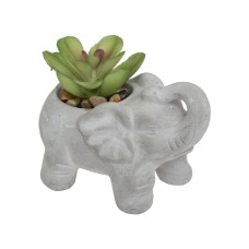 Planta decorativa ELEPHAMIO H10