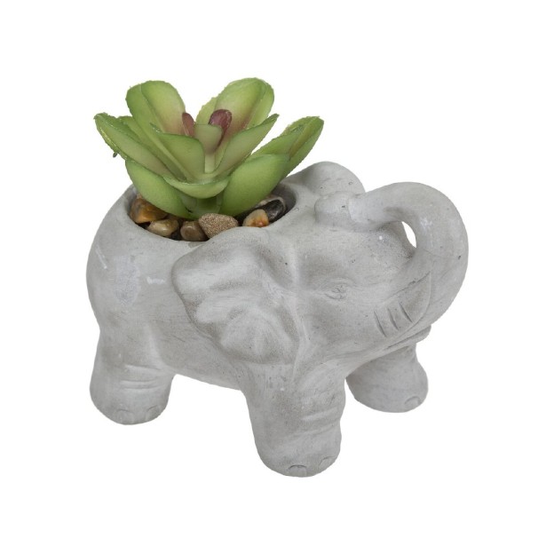 Planta decorativa ELEPHAMIO H10