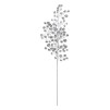 Crenguta decorativa SILVER MONEY PLANT