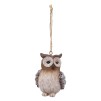 Jucarie brad OWL