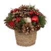 Compozitie florala HOUX ETOILE  H19CM