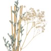 Difuzor parfum