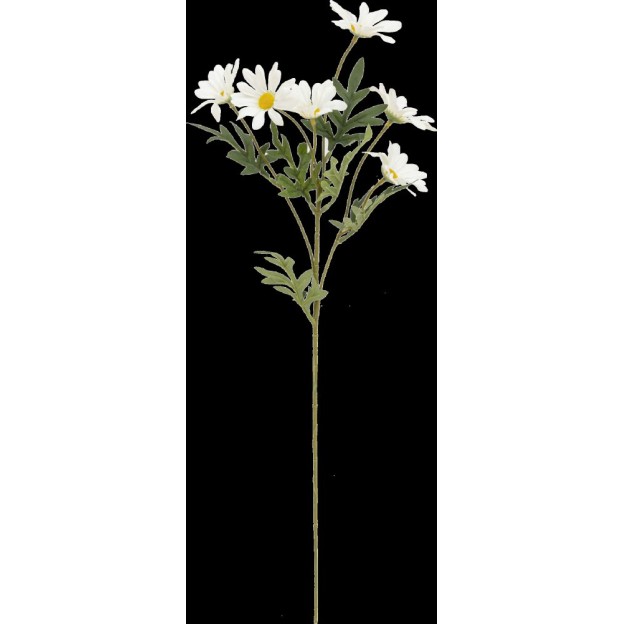 Crenguta de margarete H60