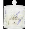 Lumanare aromatizata JARD 240G
