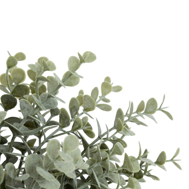 Crenguta decorativa EUCALY