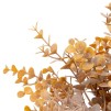 Crenguta decorativa EUCALY