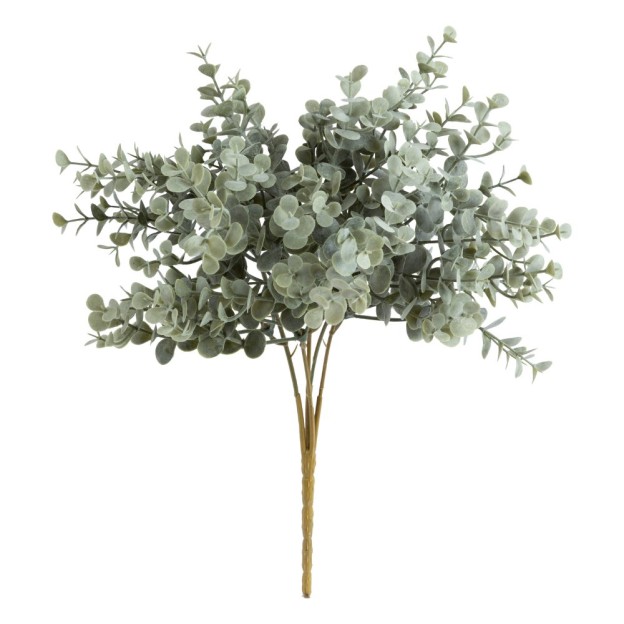 Crenguta decorativa EUCALY