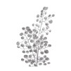 Crenguta decorativa SILVER MONEY PLANT