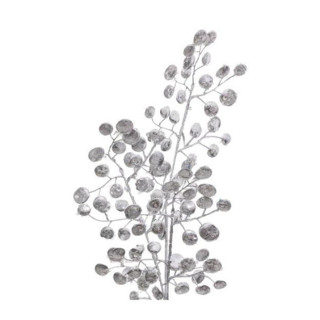 Crenguta decorativa SILVER MONEY PLANT