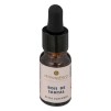 Cristal cu ulei parfumat lemn de santal 10 ml