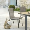 SCAUN STACK AXANT WENGE/PRALI
