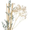Difuzor parfum