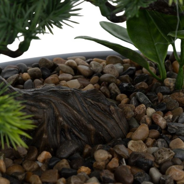 Bonsai cu ghiveci H25