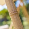 BAROE SWING SCAUN