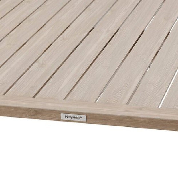 SALIMIA ADJ REC TABLE CLAY/LIN