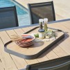 EASINESS ALU TROLLEY HONEY/GRA