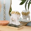 Figurina decorativa WILD H22