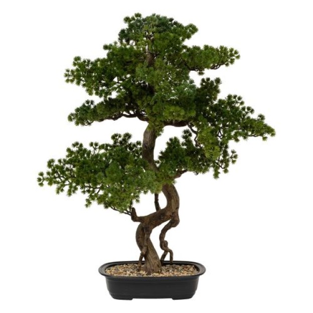 Bonsai cu ghiveci H86