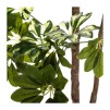 Floare decorativa cu ghiveci