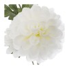 Crenguta cu flori decorative DAHLIA H62