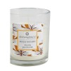 Luminare aromatizata VAN 110G
