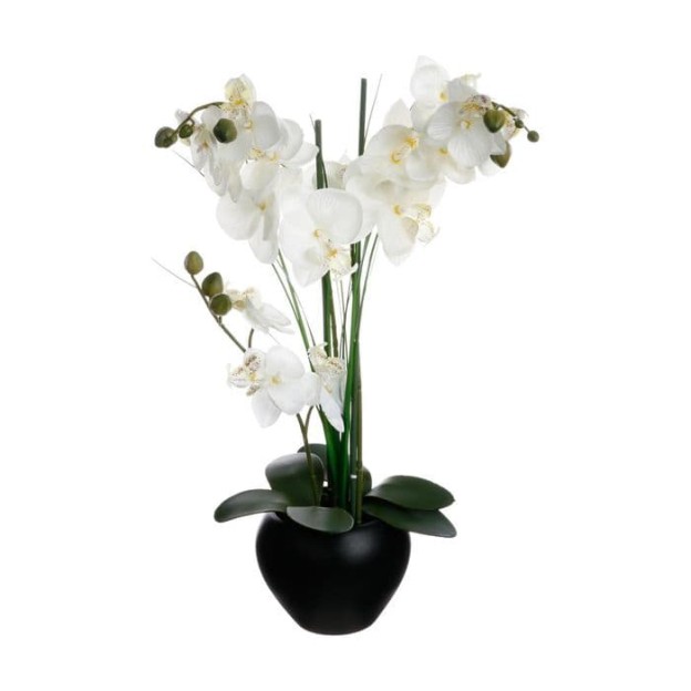Compoziti florala ALINI H53