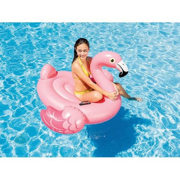 FLAMINGO RIDE ON